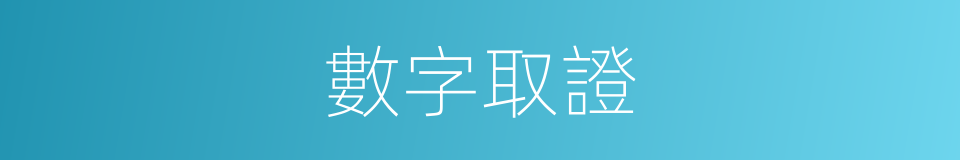 數字取證的同義詞