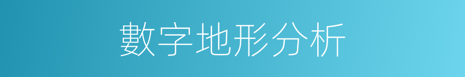 數字地形分析的同義詞