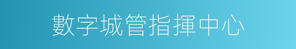 數字城管指揮中心的同義詞