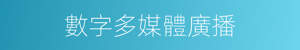 數字多媒體廣播的同義詞