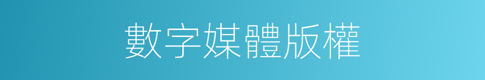 數字媒體版權的同義詞