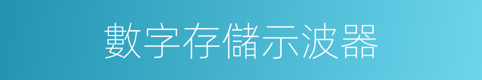 數字存儲示波器的同義詞