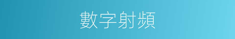 數字射頻的同義詞