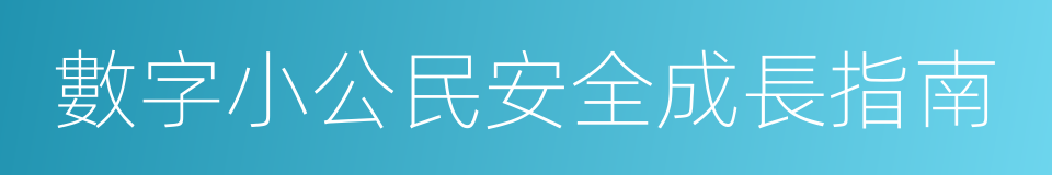 數字小公民安全成長指南的同義詞