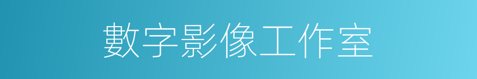 數字影像工作室的同義詞