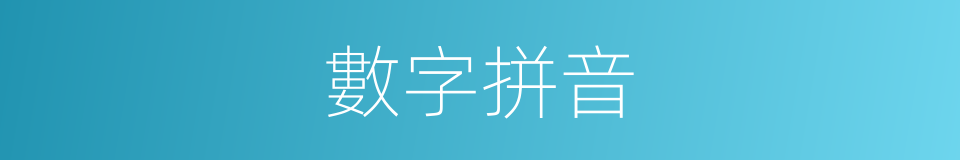 數字拼音的意思