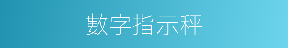 數字指示秤的同義詞