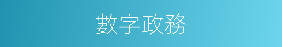 數字政務的同義詞