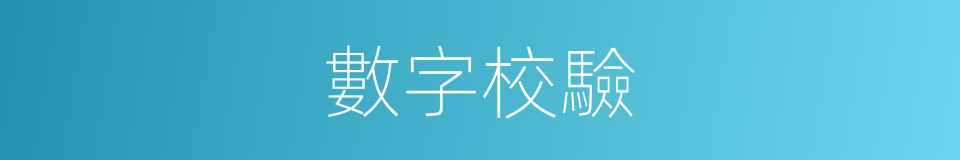 數字校驗的同義詞