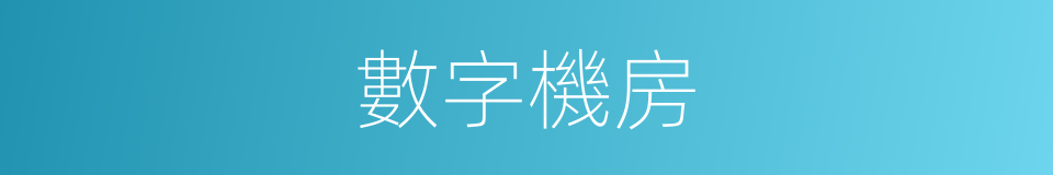 數字機房的同義詞
