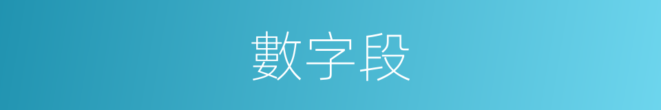 數字段的同義詞