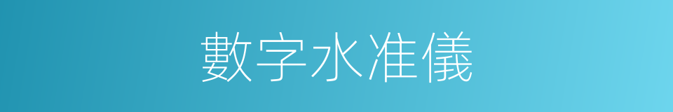 數字水准儀的同義詞