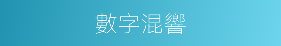 數字混響的同義詞