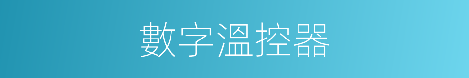 數字溫控器的同義詞
