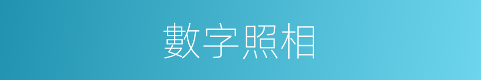 數字照相的同義詞