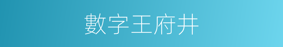 數字王府井的同義詞