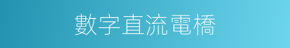 數字直流電橋的同義詞