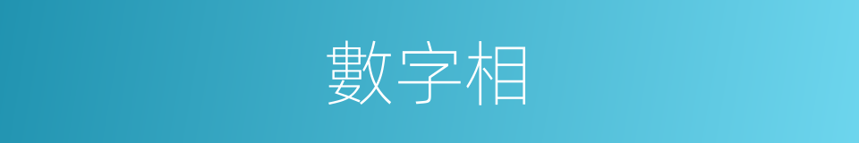 數字相的同義詞