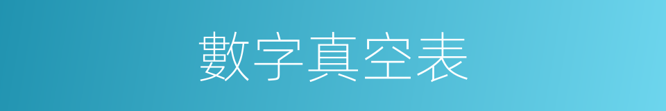 數字真空表的同義詞