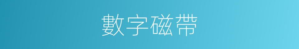數字磁帶的同義詞