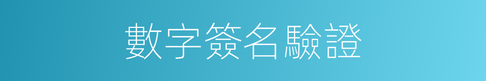 數字簽名驗證的同義詞