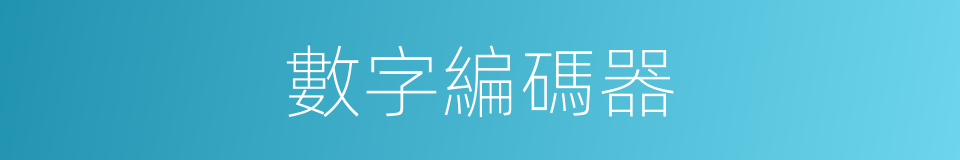 數字編碼器的同義詞