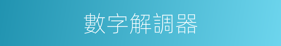 數字解調器的同義詞