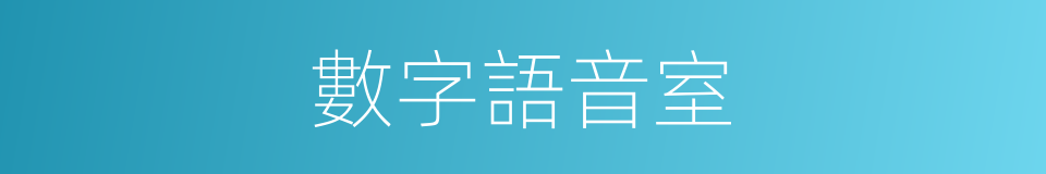 數字語音室的同義詞