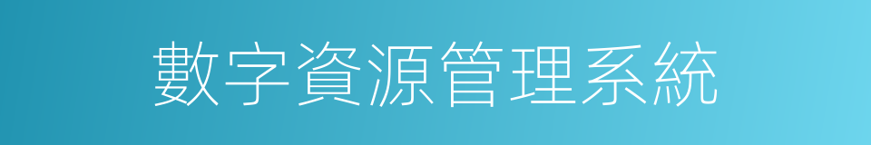數字資源管理系統的同義詞