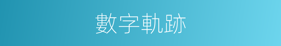 數字軌跡的同義詞