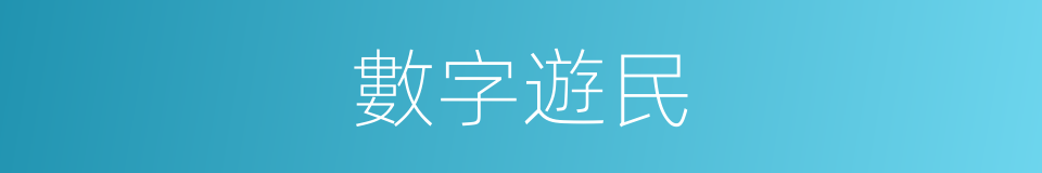 數字遊民的同義詞