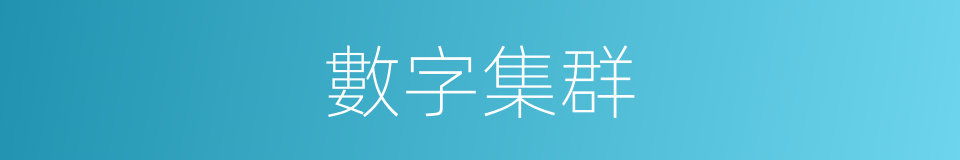 數字集群的同義詞