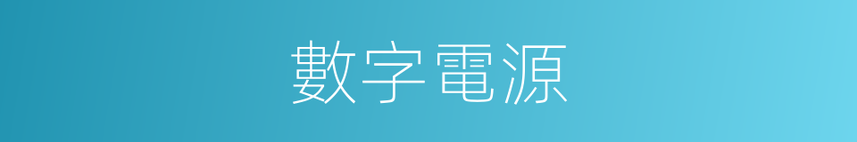 數字電源的同義詞