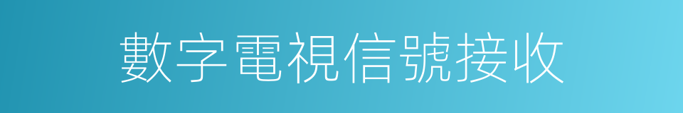 數字電視信號接收的同義詞