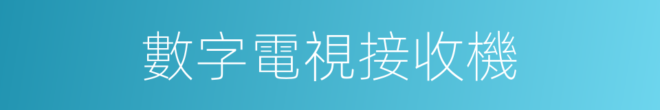 數字電視接收機的同義詞