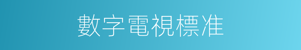 數字電視標准的同義詞