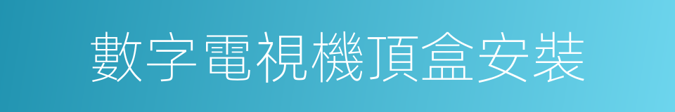 數字電視機頂盒安裝的同義詞