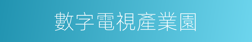 數字電視產業園的同義詞