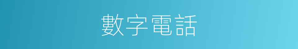 數字電話的意思