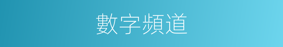 數字頻道的同義詞