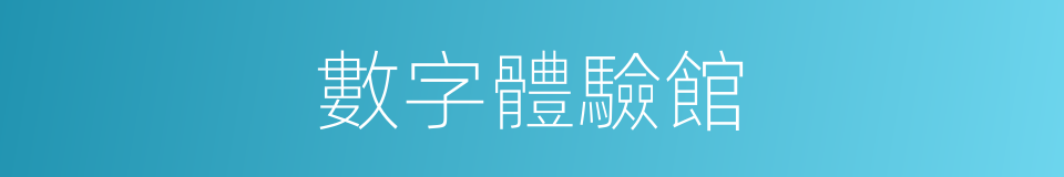 數字體驗館的同義詞