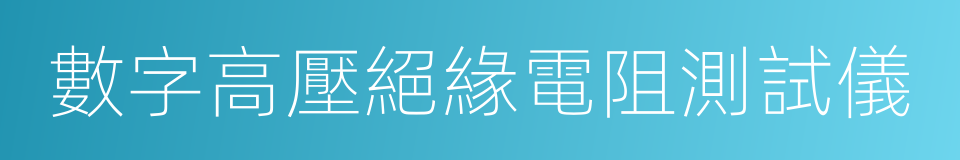 數字高壓絕緣電阻測試儀的同義詞