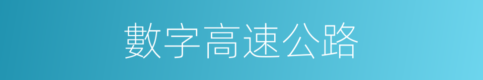 數字高速公路的同義詞