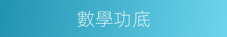 數學功底的同義詞