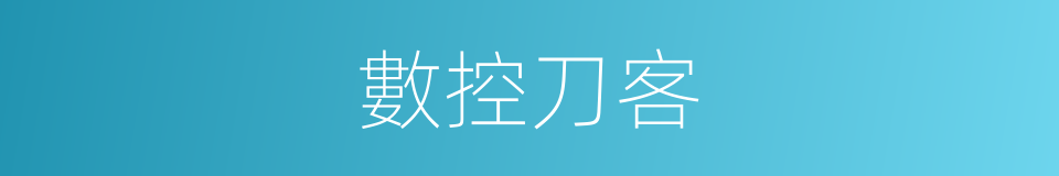 數控刀客的同義詞