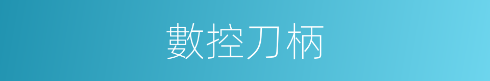 數控刀柄的同義詞