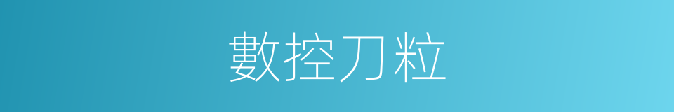 數控刀粒的同義詞