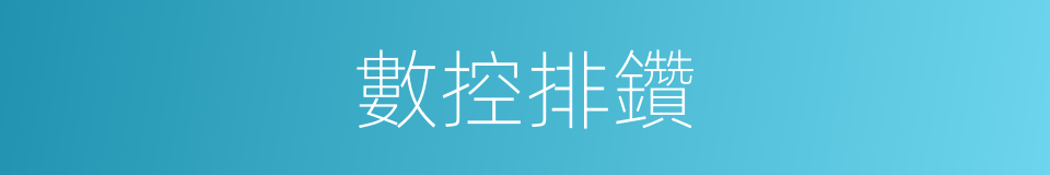 數控排鑽的同義詞
