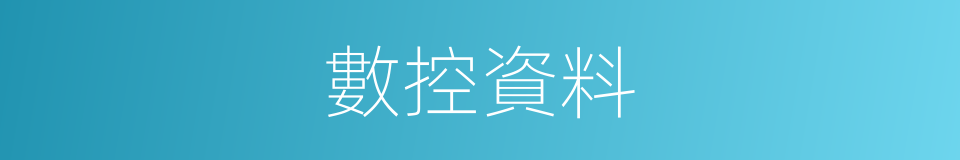 數控資料的同義詞