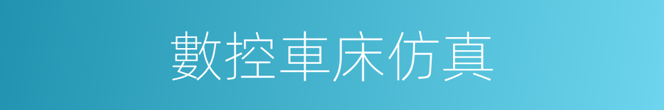 數控車床仿真的同義詞